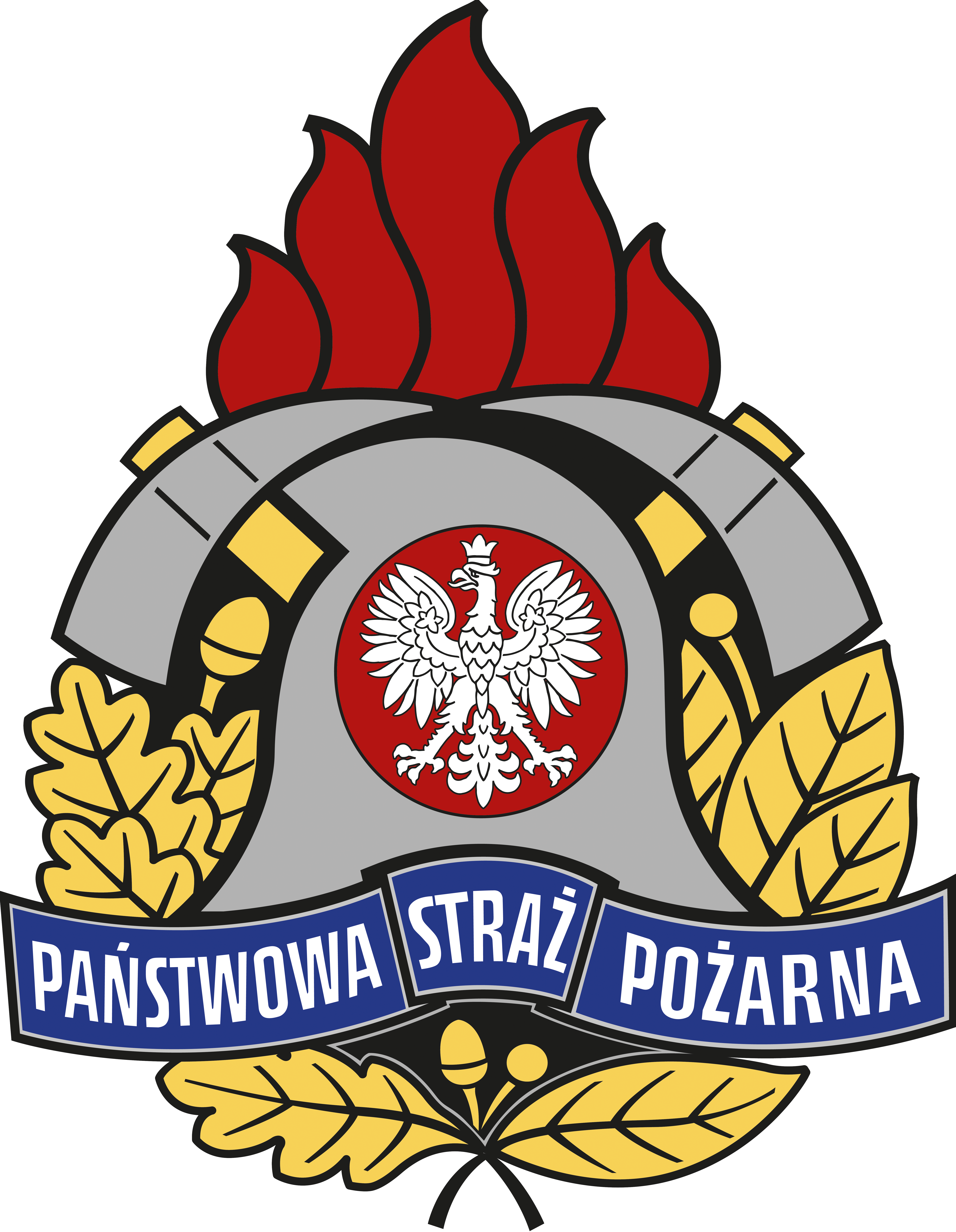 Logo_PSP_kolor-300dpi.png